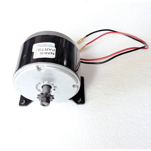 NAKS 250watt 3000 rpm motor