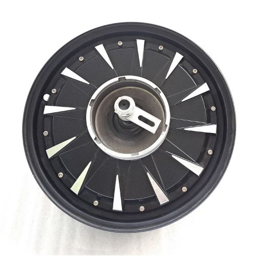 12 inch 1000watt BLDC motor